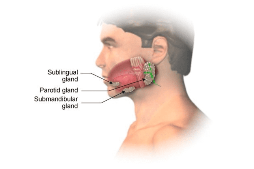 Submandibular